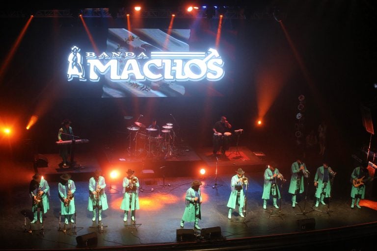 Cómo Contratar a Banda Machos en【2024】